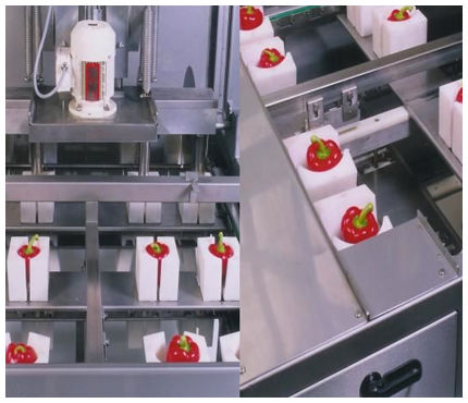 Étrogneuse de poivrons - Finis Foodprocessing Equipment B.V.
