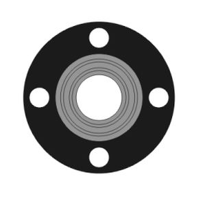 Joint BS - 1250 series - Phelps Industrial Products LLC - en PTFE / en EPDM / monté sur bride