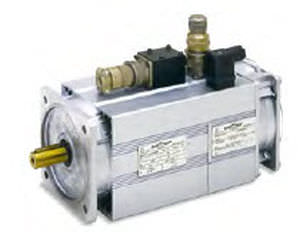 Servomoteur asynchrone - QCAVS/QCAVP Sincrovert® - OEMER - AC