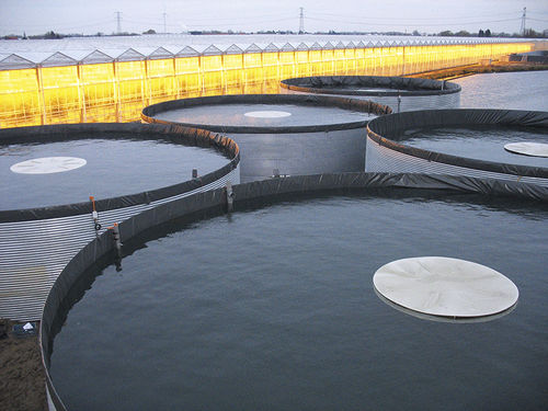 Couverture de silo d'eau - Albers Alligator