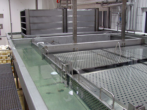 Machine de salage pour fromage - Perinox S.A.
