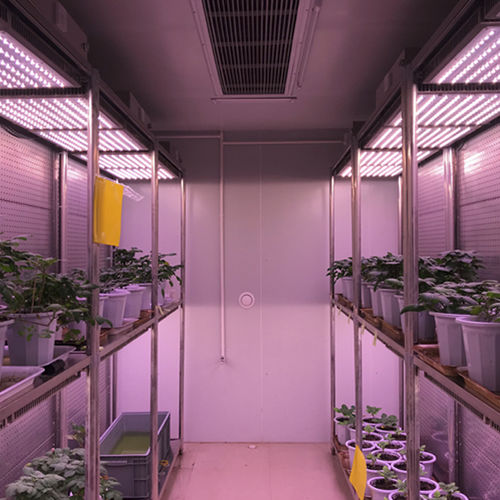 Chambre de test de température - WIPGC-01 - Fujian Jiupo Biotechnology Co., Ltd. - d'humidité / verticale / en inox