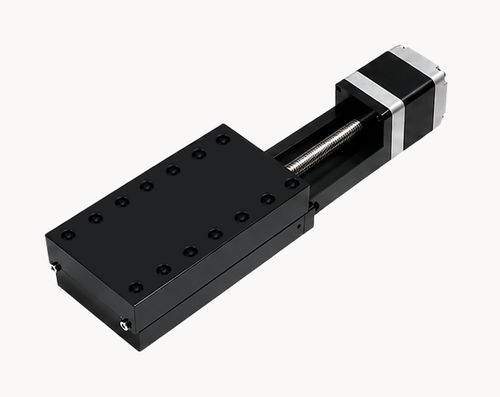 Module linéaire à vis à billes - DMP 100 - Jiangsu DINGS' Intelligent Control Technology - compact