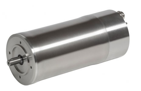 Moteur en acier inoxydable - MSS series  - Carpanelli - asynchrone / DC / autofreinant