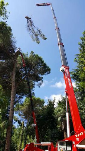 Grue araignée sur chenilles - XTJ 43+ - Palazzani industrie S.p.A. - télescopique / pour chantier