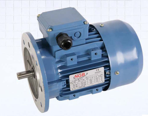 Moteur asynchrone - MS series - NGB - AC / triphasé / à carcasse en aluminium