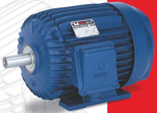 Moteur asynchrone - ISGEV - AC / triphasé / 80 V