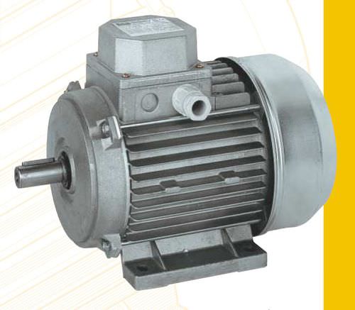 Moteur asynchrone - AL series - ISGEV - AC / triphasé / 60 V