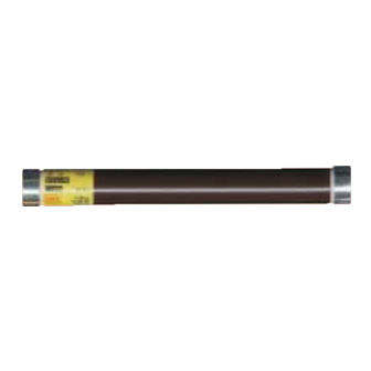 Fusible pour appareillage de commutation - HHVT - SIBA - action rapide / haute tension / de condensateurs