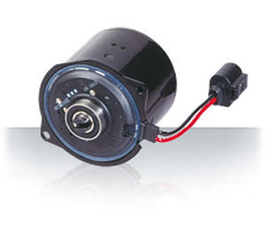 Moteur synchrone - EVP - NIDEC MOTORS & ACTUATORS - DC / 110 V / 4 pôles
