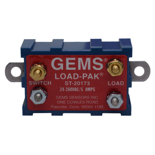 Relais programmable compact - 20173 - GEMS SENSORS & CONTROLS - intégré / sorties analogiques / sorties relais