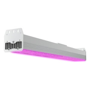 Projecteur à LED - HYPERION PRO MAX - Midstream Lighting - IEC / IP67 / en acier inoxydable
