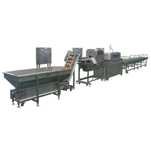 Machine à éplucher d'oignons - P-O800 - TET Co. Ltd