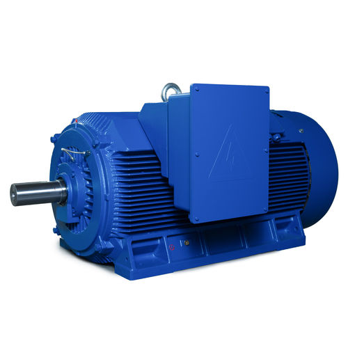 Moteur haute puissance - Y2 Series - Shandong Sunvim Motor Co., Ltd. - asynchrone / triphasé / 6000 V