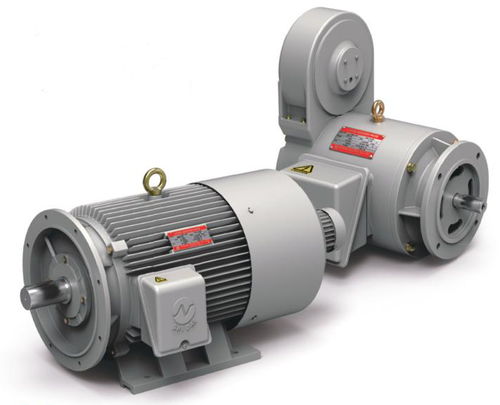 Moteur à induction - Shidae Electric Co.,Ltd. - triphasé / 4 pôles / 6 pôles
