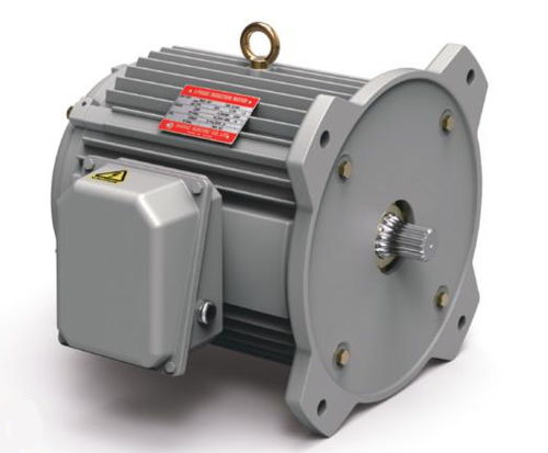 Moteur à induction - Shidae Electric Co.,Ltd. - triphasé / à rotor bobiné / 4 pôles