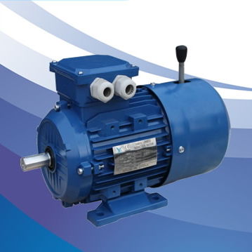 Moteur asynchrone - MSEJ/MSEJA series - FUJIAN YONGDASHENG ELECTRICAL MACHINERY CO., LTD - triphasé / 400V / 380V