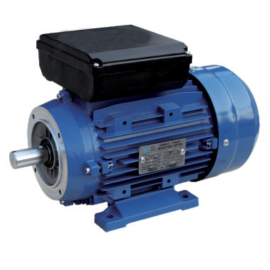 Moteur à induction - ML series - FUJIAN YONGDASHENG ELECTRICAL MACHINERY CO., LTD - monophasé / 220 V / à condensateur