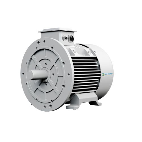 Moteur brushless - SRPM210L8F22 - MC MOTOR TECHNOLOGY CO., LTD - AC / 400V / IP55