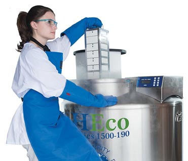 Congélateur de laboratoire - MVE HEco™ series - CHARTINDUSTRIES - en acier inoxydable / cryogénique / de stockage