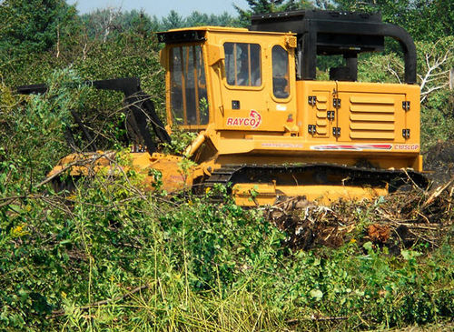 Broyeur à axe horizontal forestier - 185 - 260 hp (138 - 194 kW) | C185, C260 - RAYCO