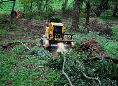 Broyeur à axe horizontal forestier - 360hp (269kW) | T360 - RAYCO