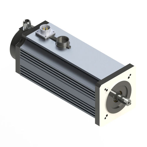 Moteur brushless - M090-L - Electric Motor Power Pty Ltd - DC / à aimants permanents / TENV