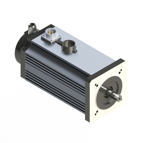 Moteur BLDC - M090-M - Electric Motor Power Pty Ltd - DC / à aimants permanents / TENV