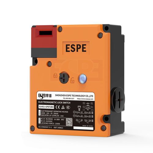 Interrupteur à clé - SLM21 series - Shenzhen ESPE technology Co., LTD - multipolaire / IP67 / monté sur panneaux