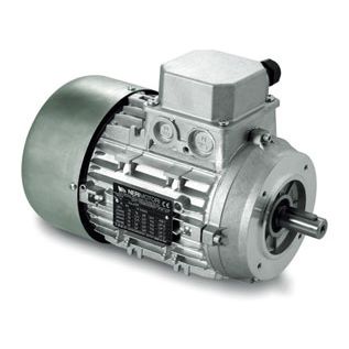 Moteur à induction - IN series - Neri Motori - triphasé / 400V / 380 V