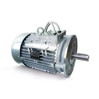 Moteur pour mélangeur - Neri Motori - asynchrone / triphasé / 400V
