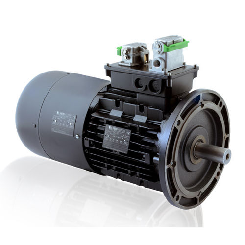 Moteur pour éolienne - Neri Motori - asynchrone / triphasé / 690 V