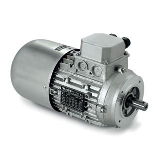 Moteur autofreinant - AD series - Neri Motori - à induction / triphasé / 400V