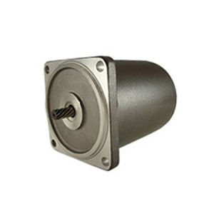 Moteur à induction - 80 series - Zhejiang Dongzheng Motor Co., Ltd. - AC / 220 V / 110 V