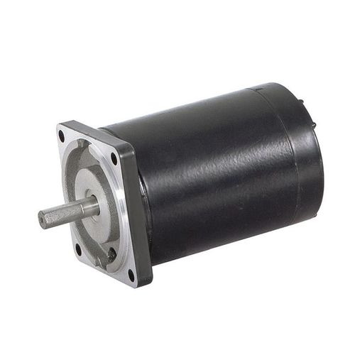 Moteur à balais - 60ZY95 - Zhejiang Dongzheng Motor Co., Ltd. - DC / 24 V / 12 V