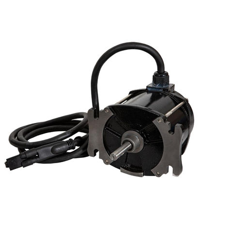 Moteur DC - 9031202 - Zhejiang Dongzheng Motor Co., Ltd. - 12 V / IP67 / à aimants permanents