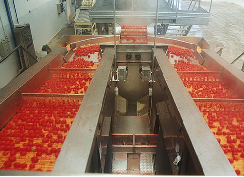 Éplucheuse de tomates - Agromeccanica srl - de châtaignes