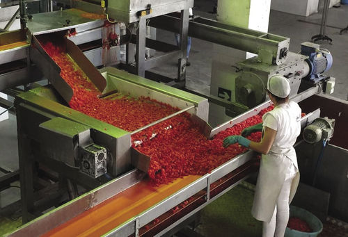 Convoyeur à rouleaux - Agromeccanica srl - de vidange / pour fruits / pour tomates