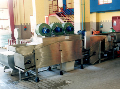 Laveuse d'agrumes - Agromeccanica srl