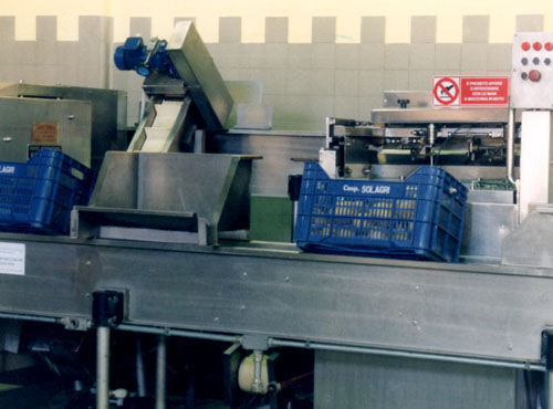 Machine à éplucher d'agrumes - Agromeccanica srl