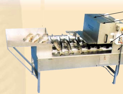 Etêteuse pour poisson - HV 40 - Pisces Fish Machinery Inc.
