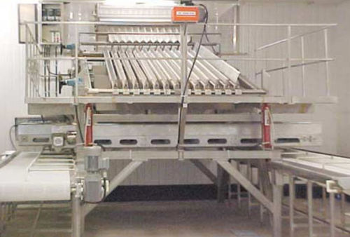 Calibreur pour poisson - HG Series - Pisces Fish Machinery Inc. - hydraulique / à rouleaux / peseur