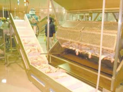 Machine à écailler automatique - DS Series - Pisces Fish Machinery Inc. - semi-automatique