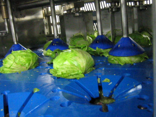 Étrogneuse de salades - DSI-4P  - TECNOCEAM