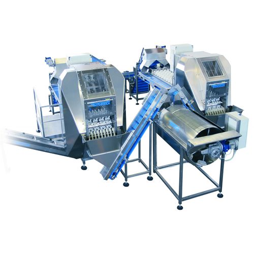 Étrogneuse de poivrons - DSP-4P - TECNOCEAM