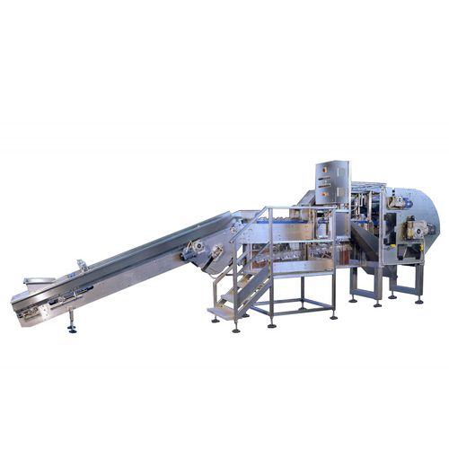 Machine à éplucher d'oignons - SPC - TECNOCEAM - entièrement automatique / de coupe