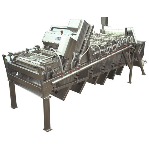 Calibreur pour crevettes - KM Fish - de tri