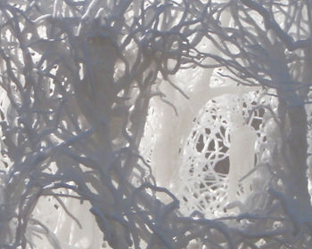 Impression 3D de polyamide - SLS ® HD - INITIAL - SLS / pour prototypage