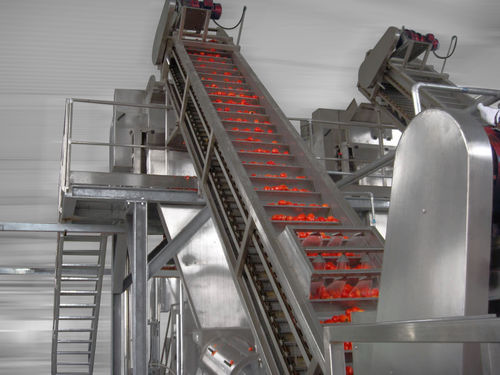 Ligne de transformation de tomates - Alimenta Industries S.r.l. - de polissage / de triage / de lavage