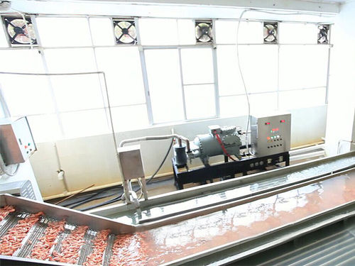 Système de refroidissement d'eau - ZD-XL 6000 - Shrimp Machine - pour crevettes / en inox / avec convoyeur à bande
